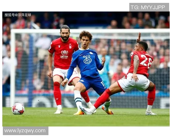 足球明星退役名单揭秘那些曾经辉煌的球员如今何去何从